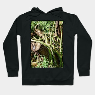 Desert Study 24 Hoodie